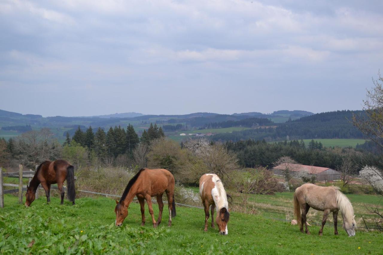 Vila Les Perruchons Ancienne Grange Renovee Avec Soin Ozolles Exteriér fotografie