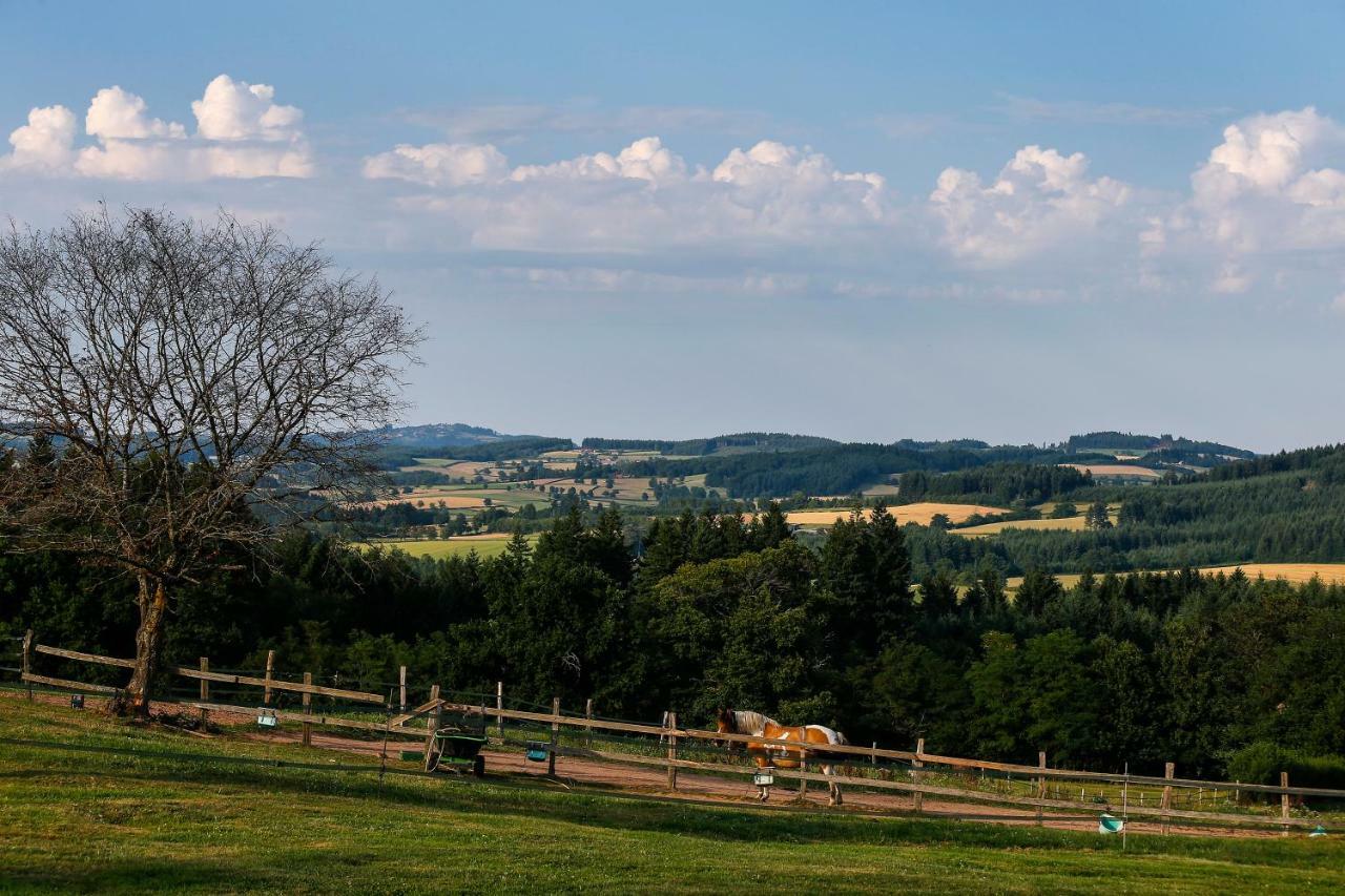 Vila Les Perruchons Ancienne Grange Renovee Avec Soin Ozolles Exteriér fotografie